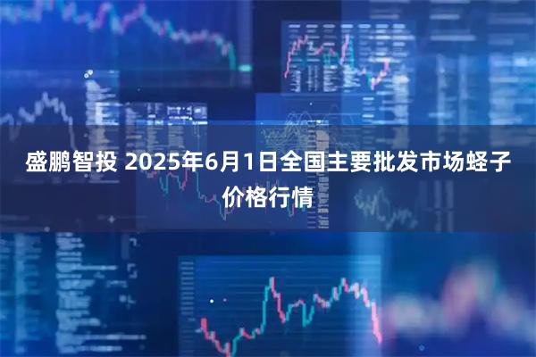 盛鹏智投 2025年6月1日全国主要批发市场蛏子价格行情