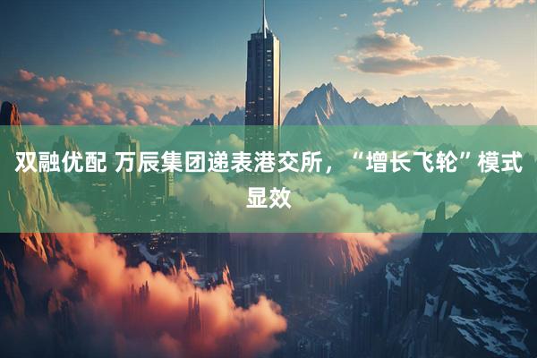 双融优配 万辰集团递表港交所，“增长飞轮”模式显效