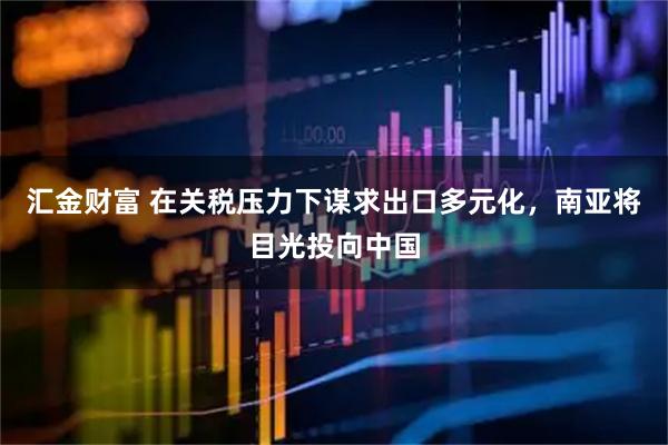 汇金财富 在关税压力下谋求出口多元化，南亚将目光投向中国